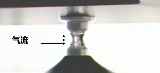 1618967197396256.jpg 微信圖片_20210421090525.jpg