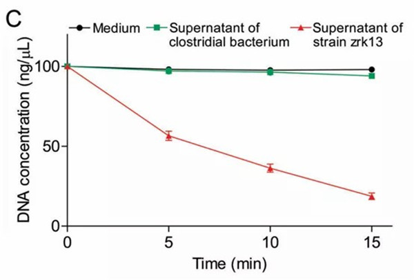 1621933063683670.jpg 640 (5).jpg