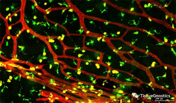 1621933260286773.jpg 640 (11).jpg