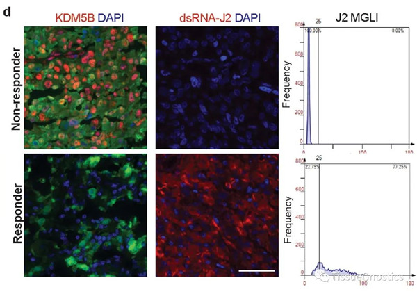 1649298491390894.jpg 640.jpg