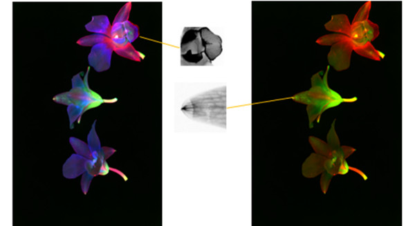 1649299311417832.jpg 640 (6).jpg