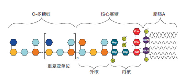 1649299799813922.jpg 640.jpg