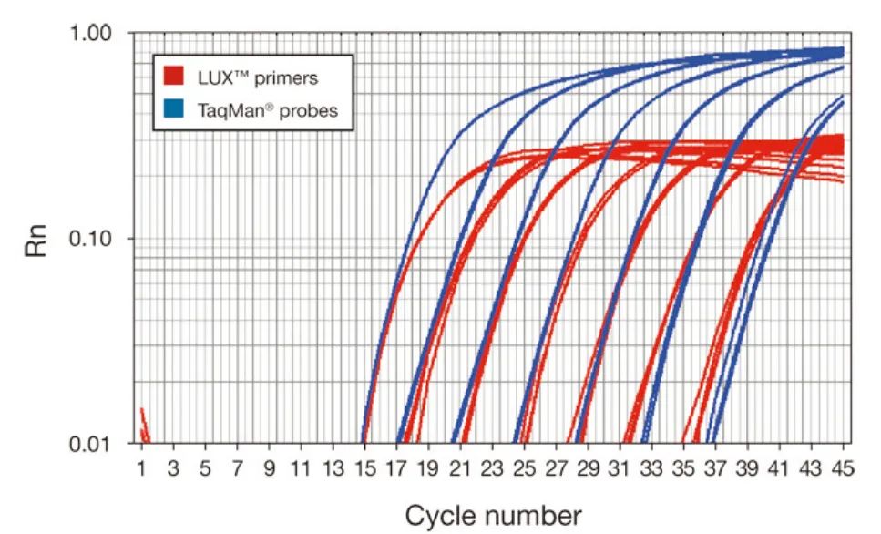 1671175937636311.jpg 1671175937636311.jpg