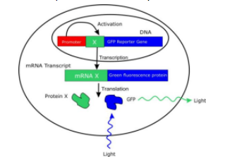 1671176302405313.png image.png