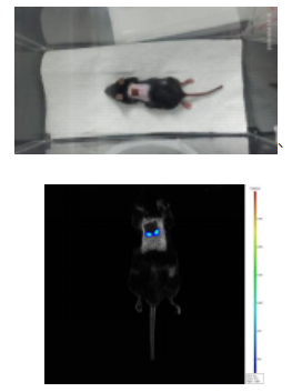 1671176342856229.png image.png