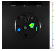 1671176383673927.png image.png