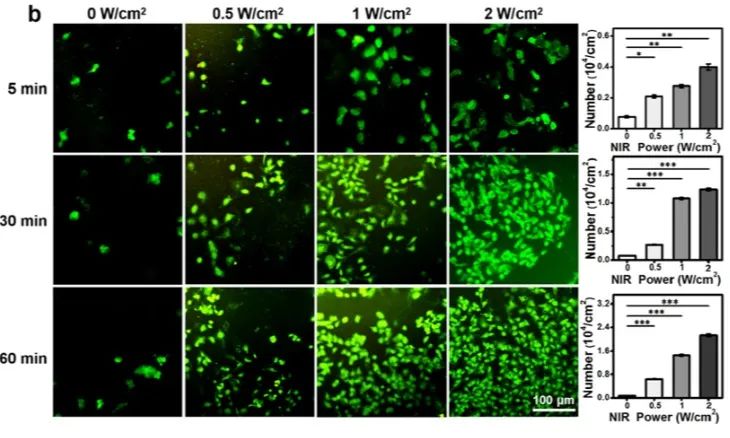 1671418762358945.jpg 4.jpg