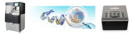 1682068226420466.jpg 640.jpg