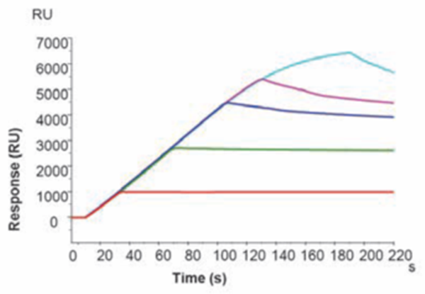 1708935791125078.png 640_wx_fmt=png&wxfrom=5&wx_lazy=1&wx_co=1 (1).png