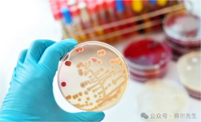 1713343546251718.png image.png